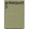 Ankerpunt 3 door Onbekend