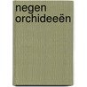 Negen orchideeën by Gilbert Keyzer