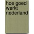 Hoe goed werkt Nederland