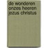 De Wonderen onzes Heeren Jezus Christus