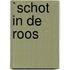 `Schot in de roos