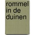 Rommel in de duinen