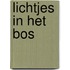Lichtjes in het bos