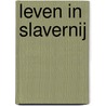 Leven in Slavernij door Ineke Mok