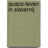 Quaco-Leven in slavernij door Ineke Mok