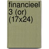 Financieel 3 (OR) (17x24) by Unknown
