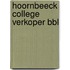 Hoornbeeck College Verkoper BBL