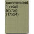 Commercieel 1 Retail (MR/OR) (17x24)