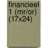 Financieel 1 (MR/OR) (17x24) door Onbekend