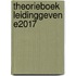Theorieboek Leidinggeven E2017