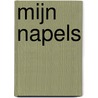 Mijn Napels door Saskia Balmaekers