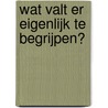 Wat valt er eigenlijk te begrijpen? door Pieter Bergé