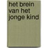 Het brein van het jonge kind