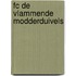 FC De Vlammende Modderduivels