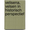 Velisena, Velsen in historisch perspectief by Wim Westerman