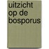 Uitzicht op de Bosporus