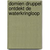 Domien Druppel ontdekt de waterkringloop door Marloes Bloemendaal-Pet