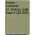 Meise – Collector St.-Brixius-Rode fase 2 (22.243)