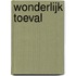 Wonderlijk toeval