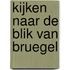 Kijken naar de Blik van Bruegel