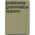 Praktische grammatica Spaans