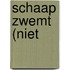 Schaap zwemt (niet