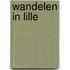 Wandelen in Lille
