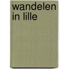Wandelen in Lille by Mirjam Bredius-Hoogendam