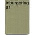 inburgering A1