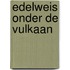 Edelweis onder de vulkaan