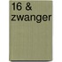 16 & zwanger