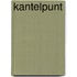 Kantelpunt