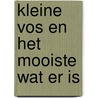 Kleine Vos en het mooiste wat er is by Thysa Zevenbergen