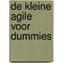 De kleine Agile voor Dummies