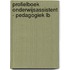 NU Pedagogisch Werk