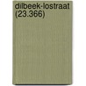 Dilbeek-Lostraat (23.366) door M.R. Groenhuijzen