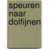 Speuren naar dolfijnen
