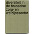 Diversiteit in de Brusselse zorg- en welzijnssector