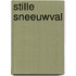 Stille sneeuwval