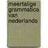 Meertalige grammatica van Nederlands
