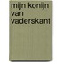 Mijn konijn van vaderskant