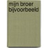 Mijn broer bijvoorbeeld