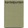 Kantelpunten door Joan Halifax