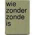 Wie zonder zonde is