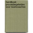 Handboek procesbegeleiden voor teamcoaches