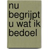 Nu begrijpt u wat ik bedoel door Paul Verhaak