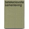 Betekenisvolle samenleving by Arno van Doorn