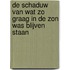 De schaduw van wat zo graag in de zon was blijven staan