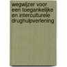 Wegwijzer voor een toegankelijke en interculturele drughulpverlening door Tom Decorte