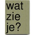 Wat zie je?